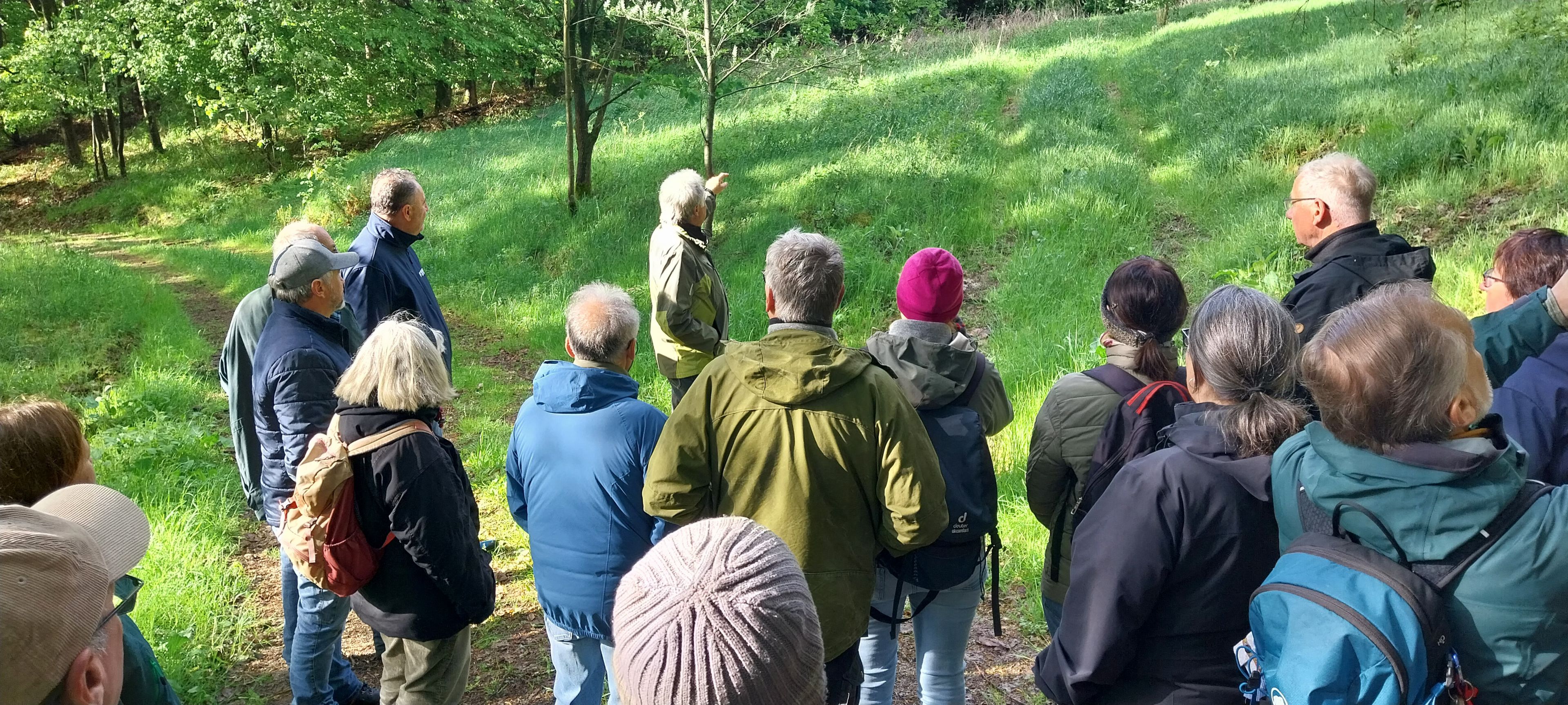 Abendwanderung Köstenberger Blumenwiesen 2026